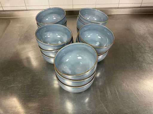 Pro Smart Choice Bowl (15x)