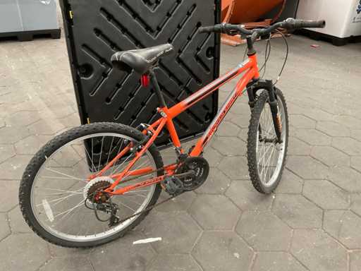 Mountain sport Mountainbike