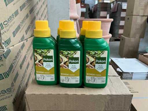 Partij Pokon Bonsai Voeding 250ml (95x)