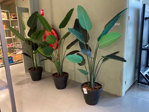 Artificial houseplant (3x)
