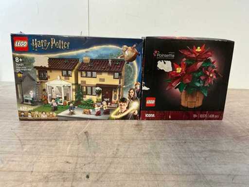 Lego 76451&10370 Lego Harry Potter & Weihnachtsstern Harry Potter & Weihnachtsstern