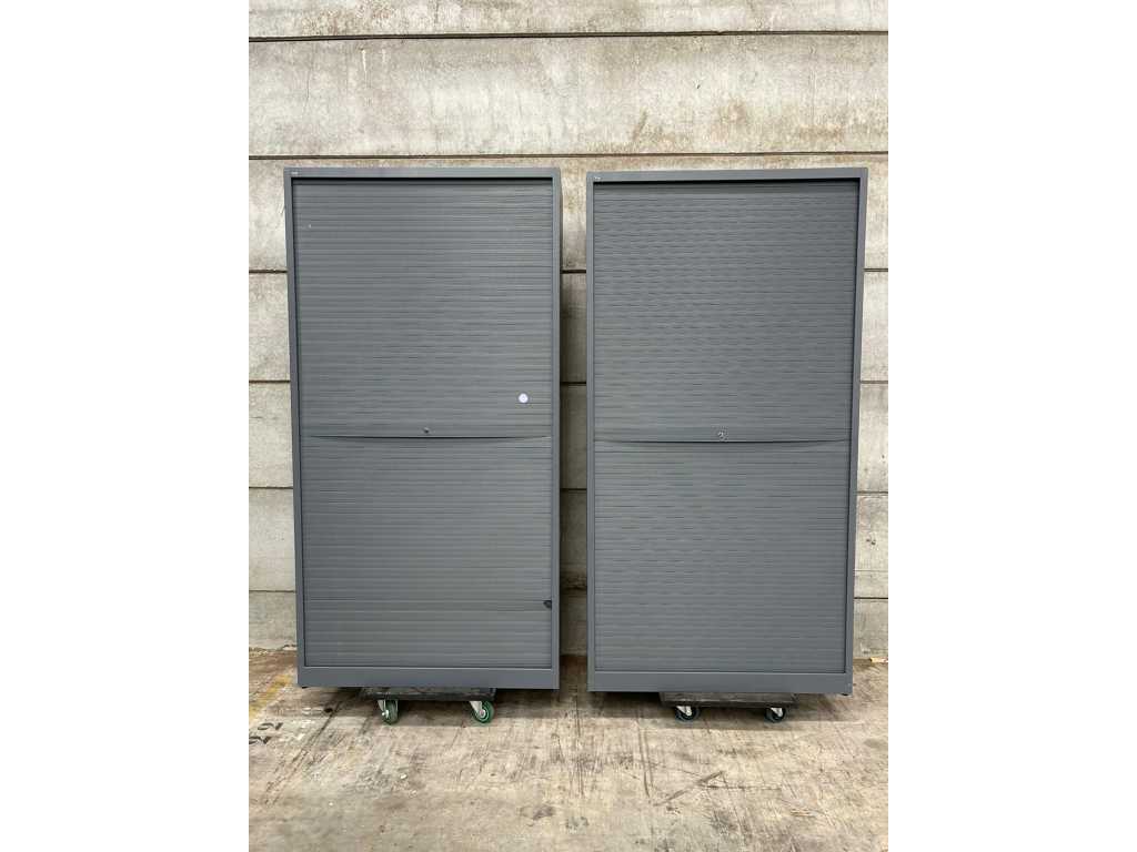 2 X Extra High Horizontal Roller Door Cabinet