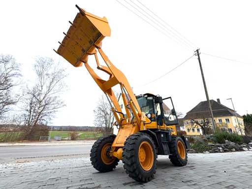 AGT W958 Wheel Excavator