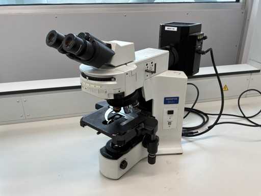 Olympus BX41TF Microscope