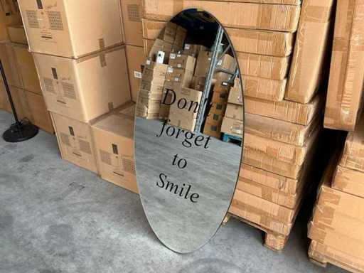 Lot Coco Maison Mirror 60x120cm (17x)