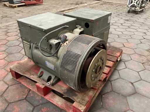 Mecc alte spa ECS1 Generator pies? (2x)