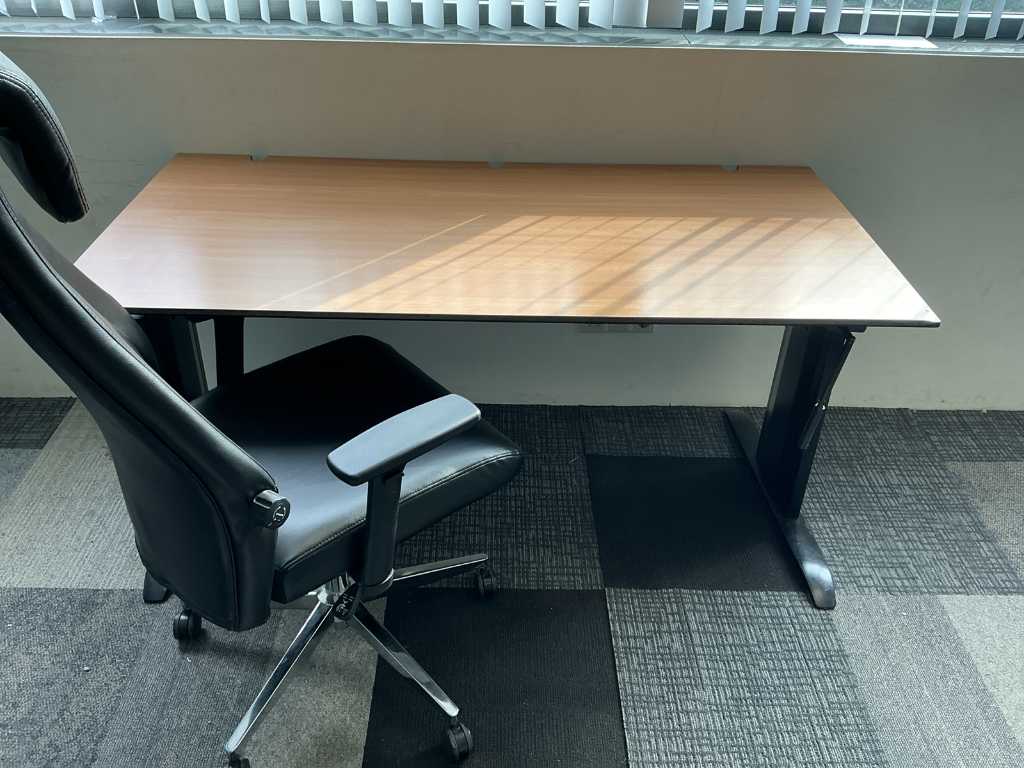 Tavolo da ufficio con sedia in pelle