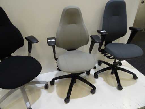 RH – Moreo 220 – Vorsitzender