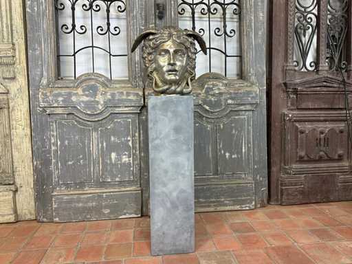 Medusa de bronz 