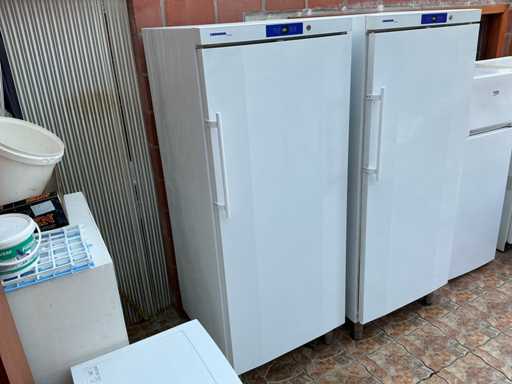 Liebherr GG5210 Vriezer