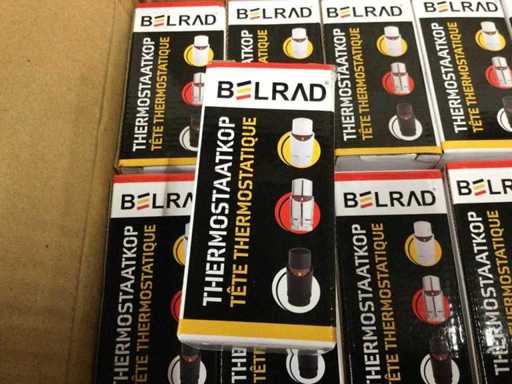 Belrad - Testine termostato (100x)