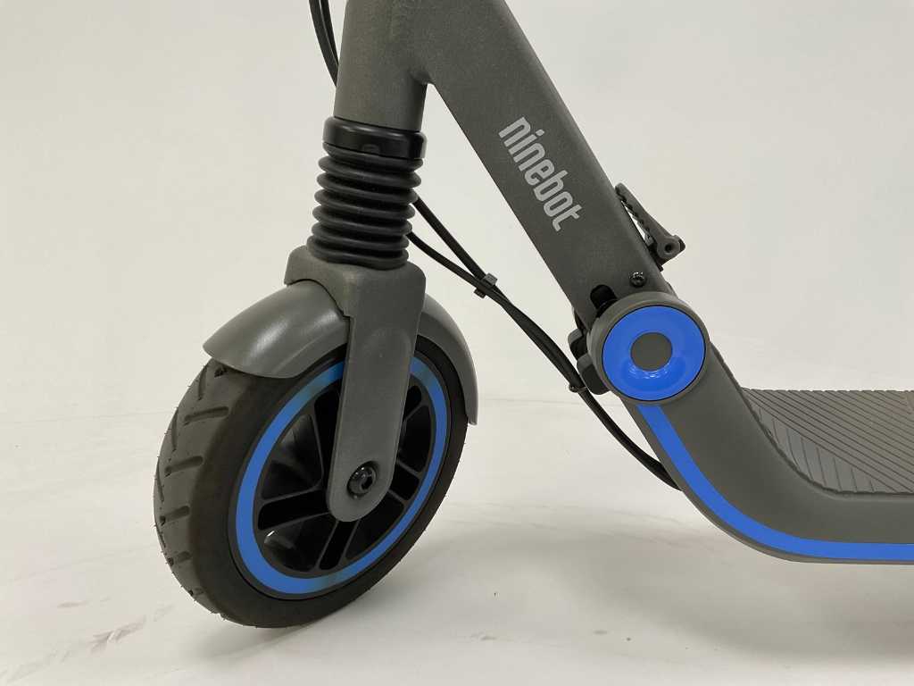 Segway Ninebot E10 scooter ekick scooter sing Troostwijk