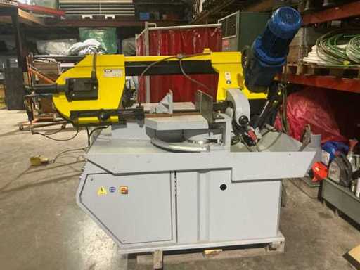 1998 FMB Pegasus Lintzaagmachine met rollenbaan