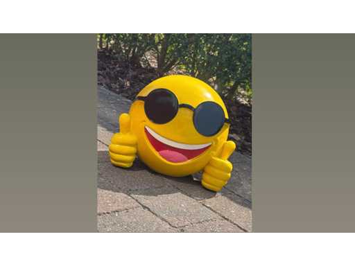 Emoji Goed/bril H30cm