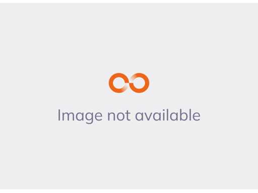 Cars and commercial vehicles in Spijkenisse