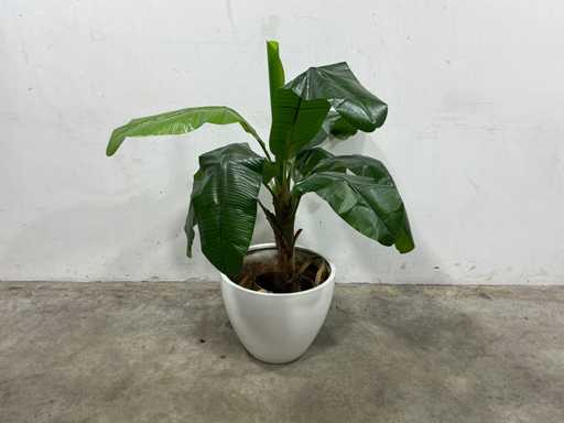 Artificial banana plant with pot
