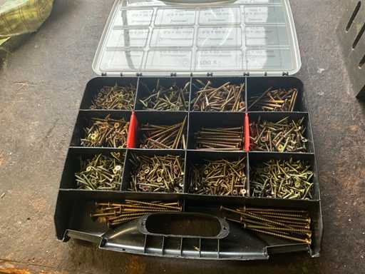 Assortimentskoffer met houtschroeven