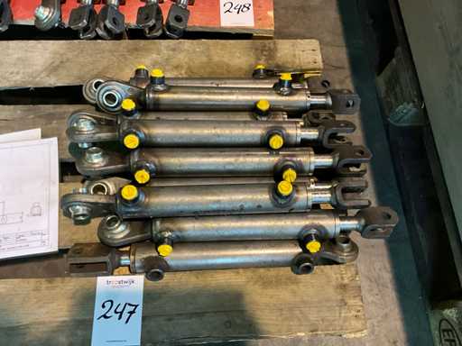 Hydrauliek cilinder (10x)
