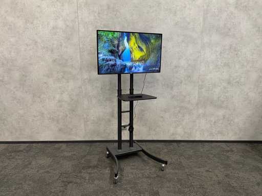 Philips - Monitor de 43" pe trepied mobil