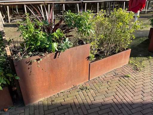 Metalen Plantenbak met inhoud (2x)