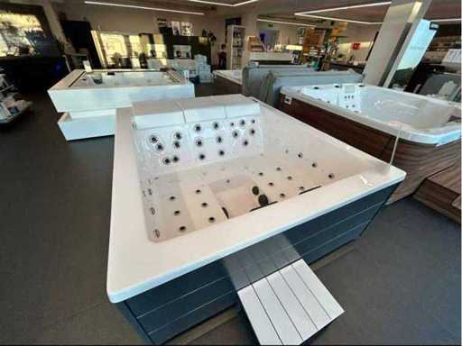 Jacuzzi, sauna, ice baths, swimming pools and massage chairs