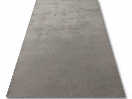 Bic Blitz 3820 Covor gri deschis 3850 x 2450 mm