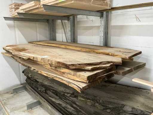 Foglia del tronco dell'albero (10x)