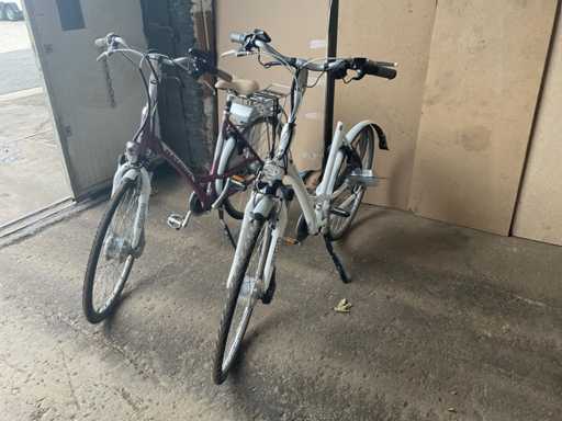 Vélo électrique Batavus (2x)
