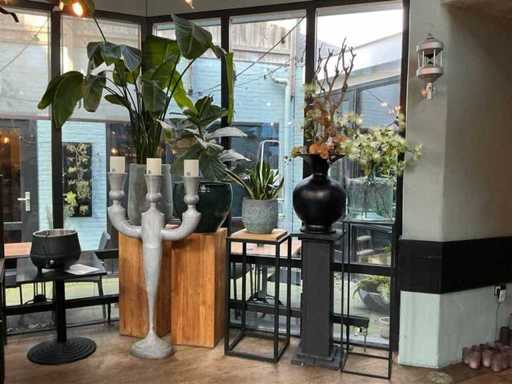 Plants with pots (5x)