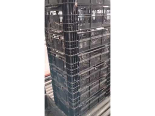 68786206-ee8f-48a8-8b50-7cb0a17113f4.mp4