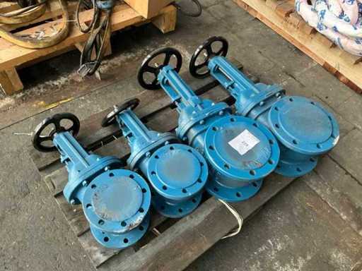 Supapele industriale (4x)