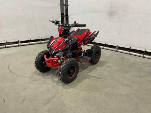 Ultra - Motocross - Mini quad