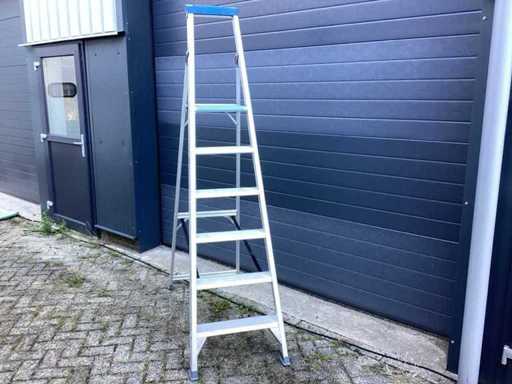 STS trap BT6 Ladder en trap