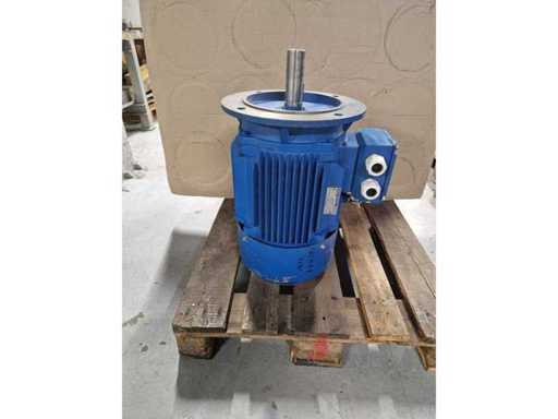 MOLL  IEC electromotor