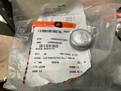 Protective cap (30x)