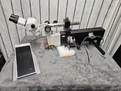 NIKON - SMZ445 con PALOMAR S6 - Stereomicroscopio