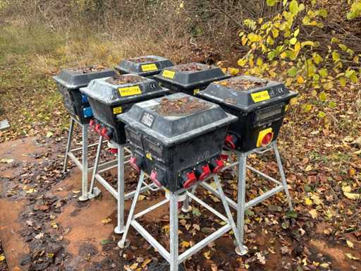 Forest Building Connection Box (6x)