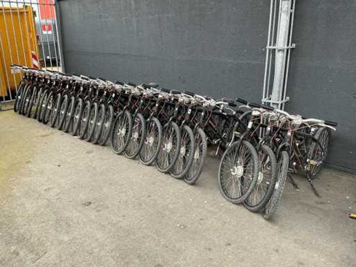 Bicicletă de munte cu cardan drive (24x)