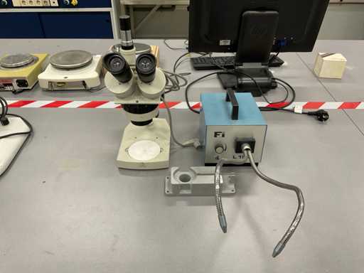 Euromex & Heim Stéréomicroscope avec source lumineuse à fibre optique