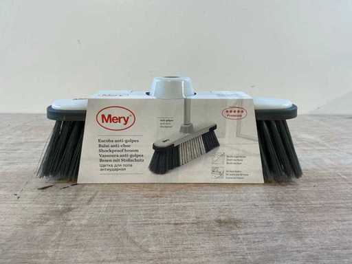 Mery Besenbürsten (55x)