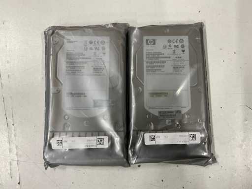 HP 600GB 15K SAS EF0600FARNA (2x)
