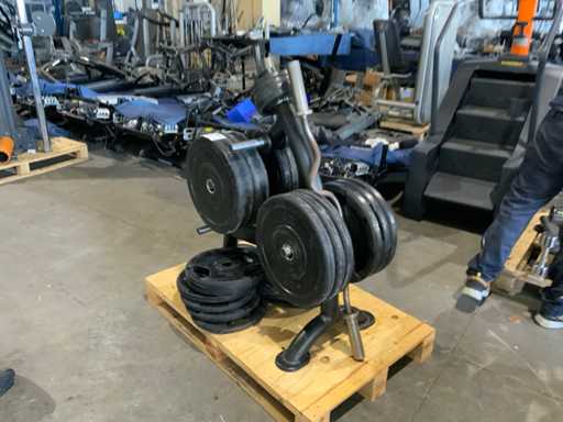 onbekend 50 mm schijven met rek 280kg Krachtstation