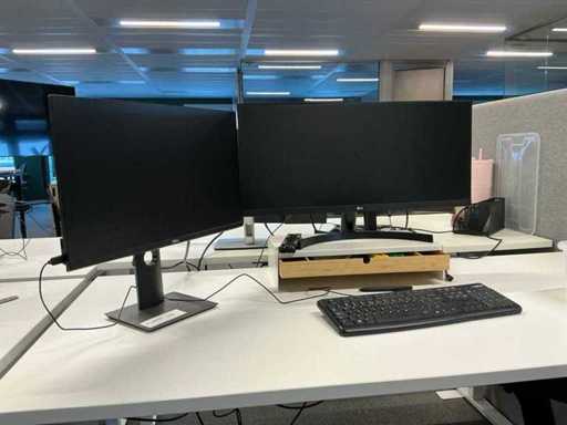 Dell/LG P2419HC/29WL500 Monitor (2x)