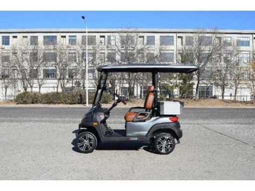 Golf Buggy : Mat grijs