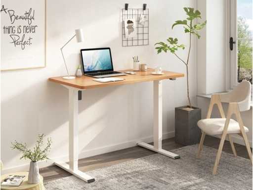 Adjustable Electric Desk - 120 x 60 cm