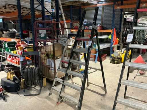Atrex Ladder (2x)