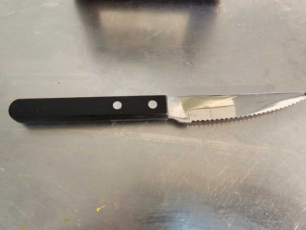 Steak knife (54x)