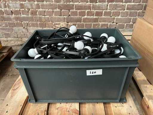 Charge von Lichtsaiten