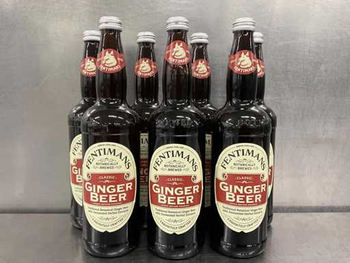 Fles Ginger Beer (7x)