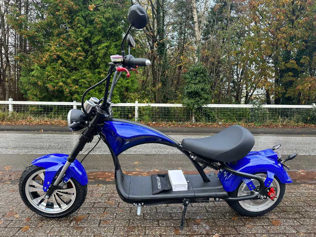 2023 Eco Scooter CP4 E-scooter